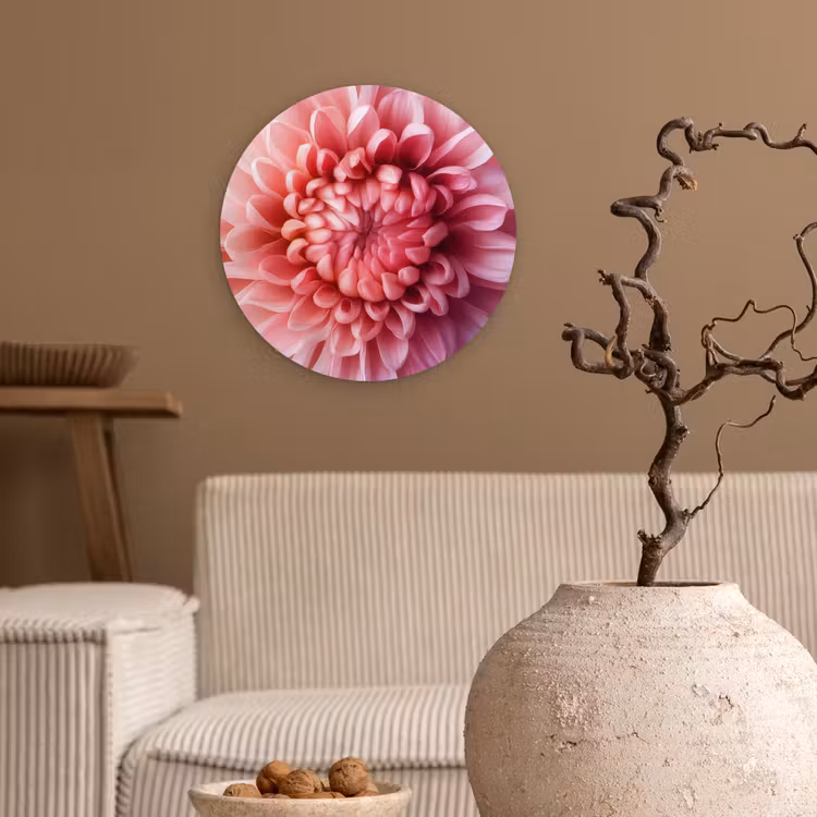 Dahlia - Bloem - Close up - Roze Wandcirkel kunststof plaat 5mm dik klein -sfeer1