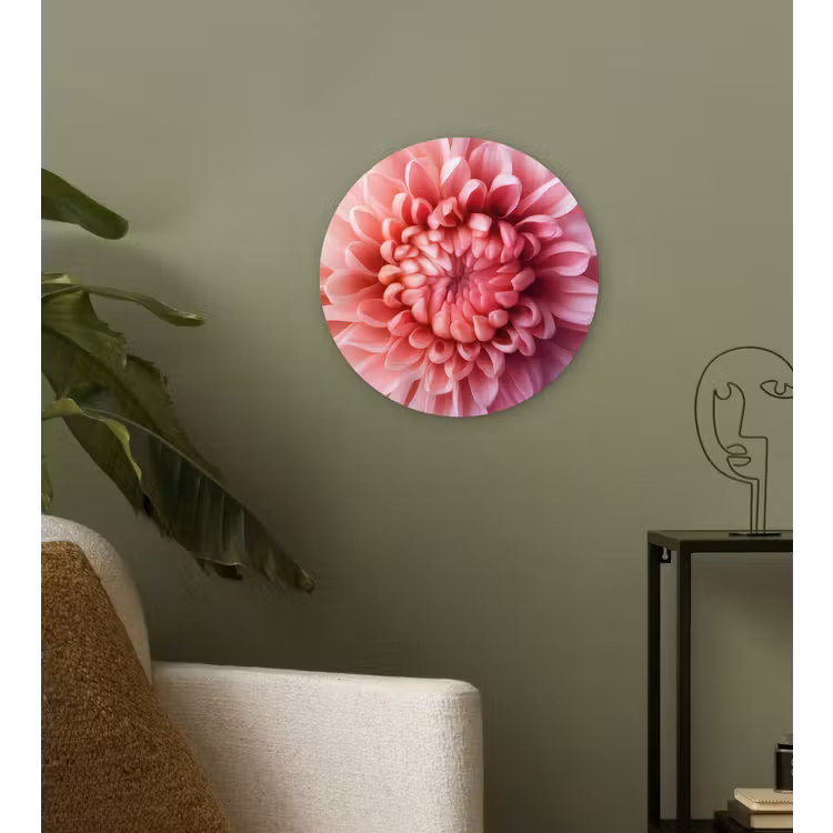 Dahlia - Bloem - Close up - Roze Wandcirkel kunststof plaat 5mm dik klein -sfeer3