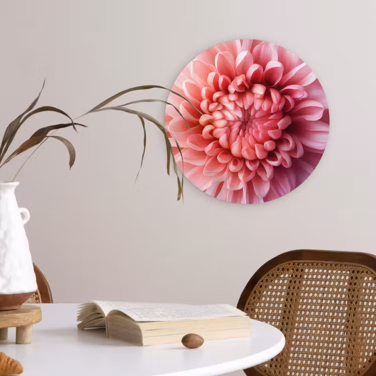 Dahlia - Bloem - Close up - Roze Wandcirkel kunststof plaat 5mm dik klein -sfeer4