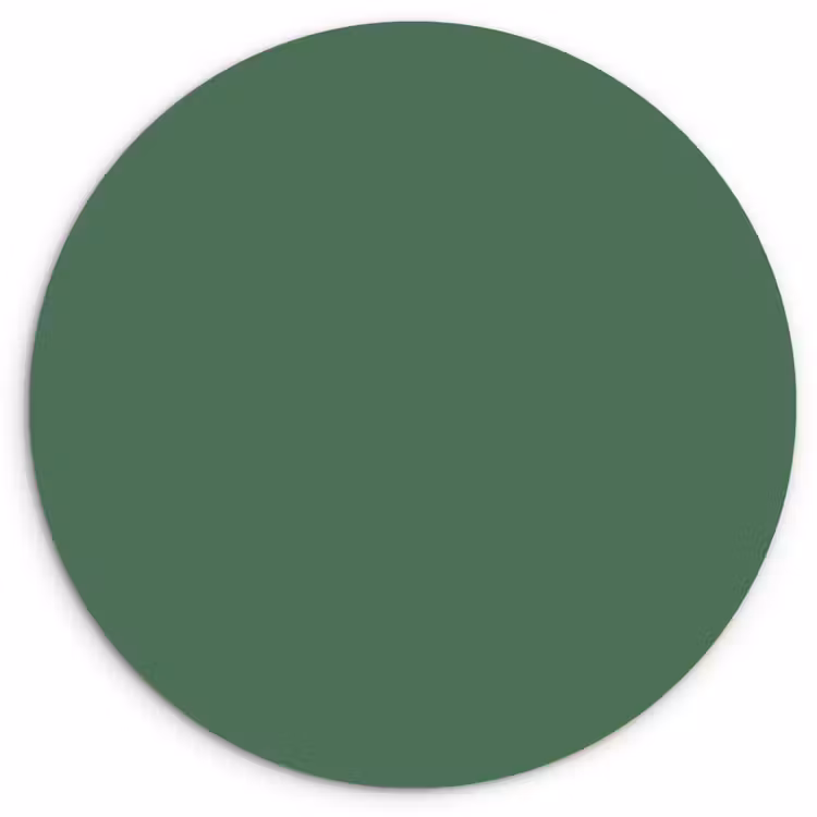 Deep - Sagewood - Groen Wandcirkel kunststof plaat 5mm dik klein 188 -3d