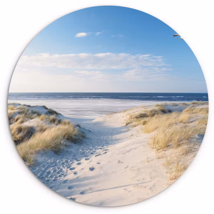Duin - Meeuw - Strand - Zee - Zon Wandcirkel kunststof plaat 5mm dik klein -3d