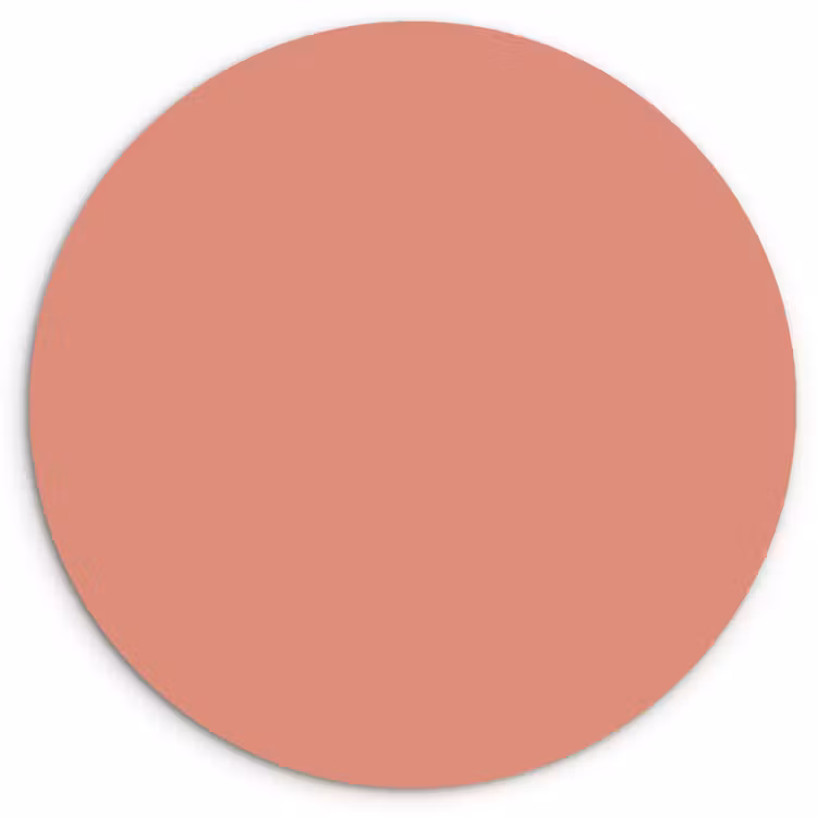 Earthy - Rose - Koraal Wandcirkel kunststof plaat 5mm dik klein 188 -3d