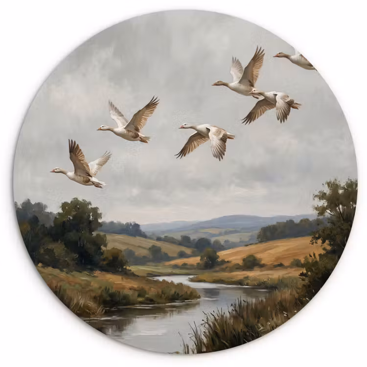 Eenden - Rivier - Landschap - Vlucht - Nostalgisch Wandcirkel kunststof plaat 5mm dik klein -3d