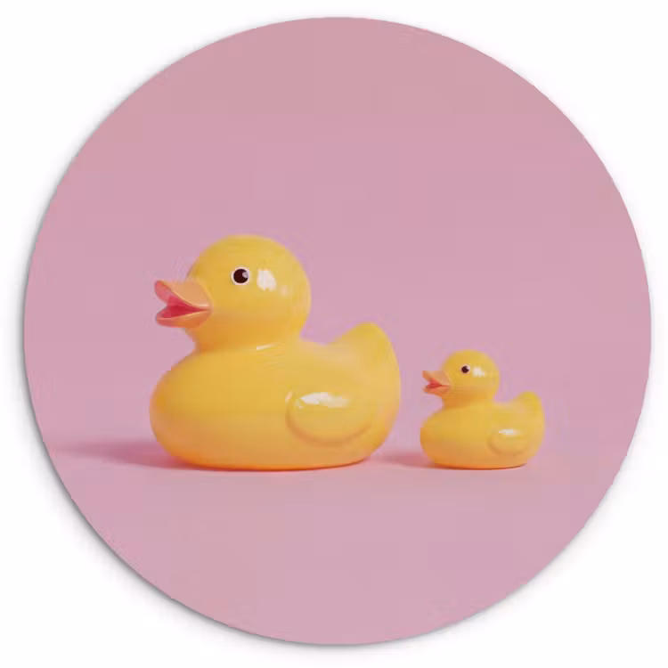 Eendjes - Vrolijk - Roze Wandcirkel kunststof plaat 5mm dik klein -3d