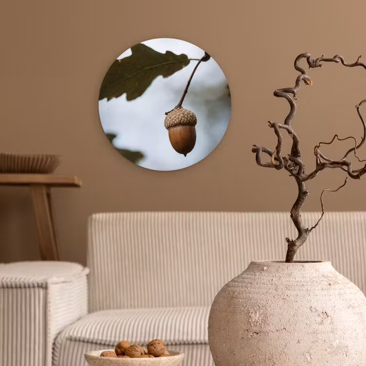 Eikel - Eikenblad - Bos - Herfst - Natuur Wandcirkel kunststof plaat 5mm dik klein -sfeer1