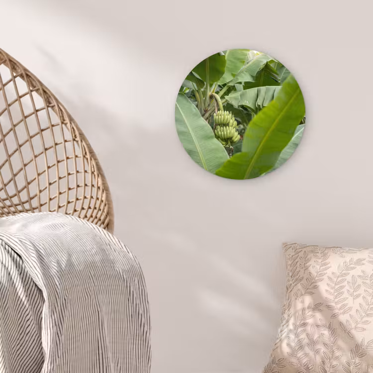 Eten - Bananen - Plantage - Groen Wandcirkel kunststof plaat 5mm dik klein -sfeer5