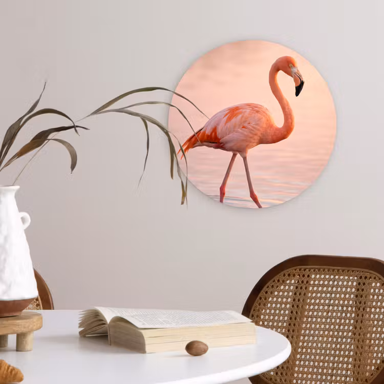 Flamingo - Water - Roze Wandcirkel kunststof plaat 5mm dik klein -sfeer4