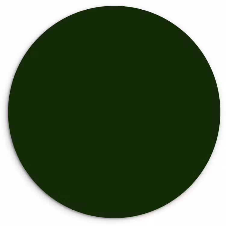 Forest - Green - Groen Wandcirkel kunststof plaat 5mm dik klein 188 -3d