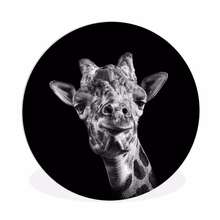Giraffe - Dier - Zwart - Wit Wandcirkel kunststof plaat 5mm dik klein -3d