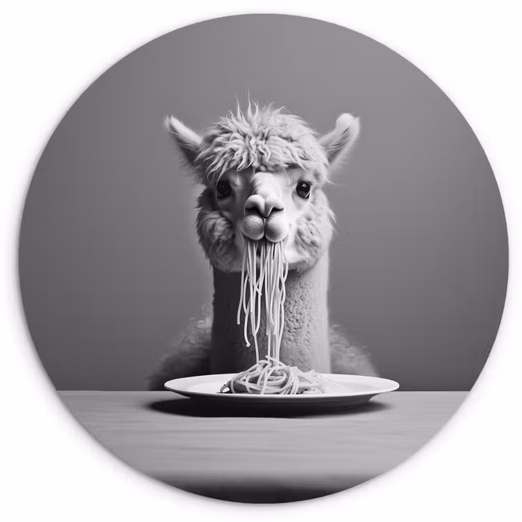 Alpaca - Pasta - Zwart - Wit - Grappig - Dieren Wandcirkel plexiglas klein -3d