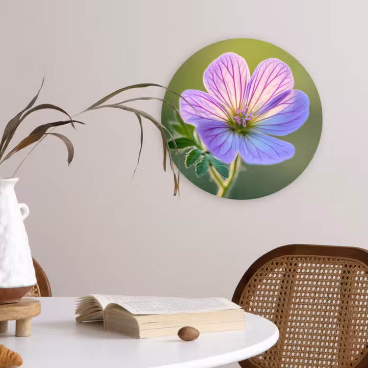 Bloem - Close up - Paars Wandcirkel plexiglas klein -sfeer4