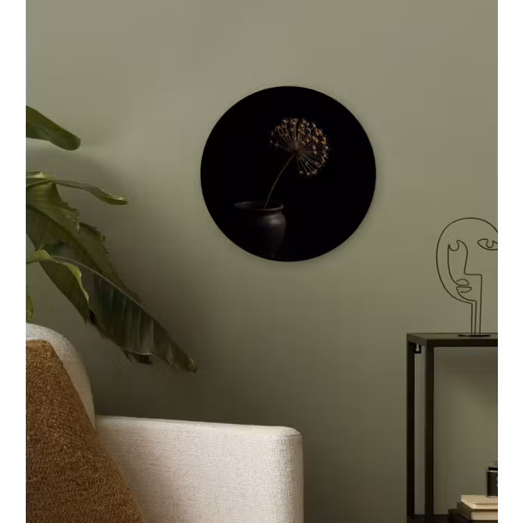 Bol - Gedroogd - Vaas - Zwart Wandcirkel plexiglas klein -sfeer3