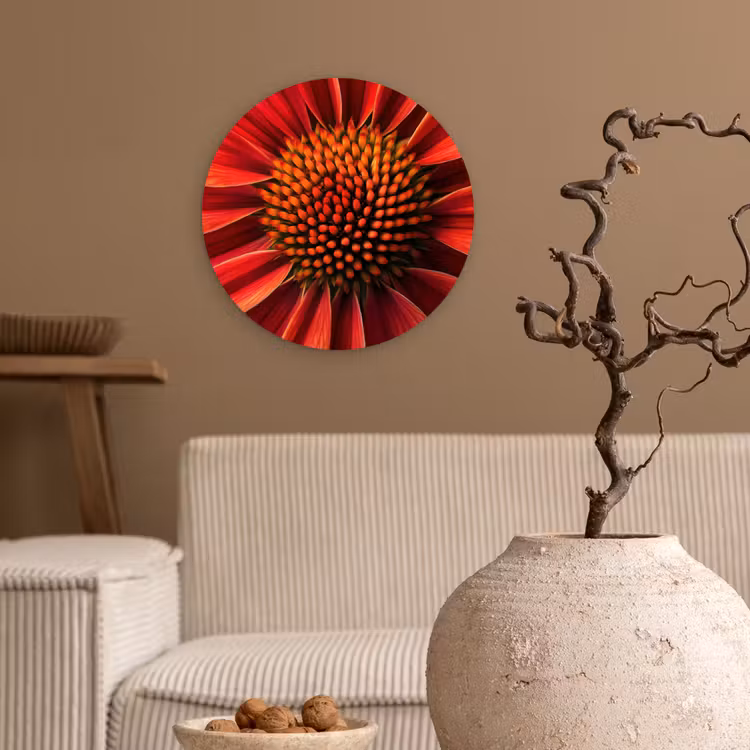 Close up - Bloem- Rood Wandcirkel plexiglas klein -sfeer1