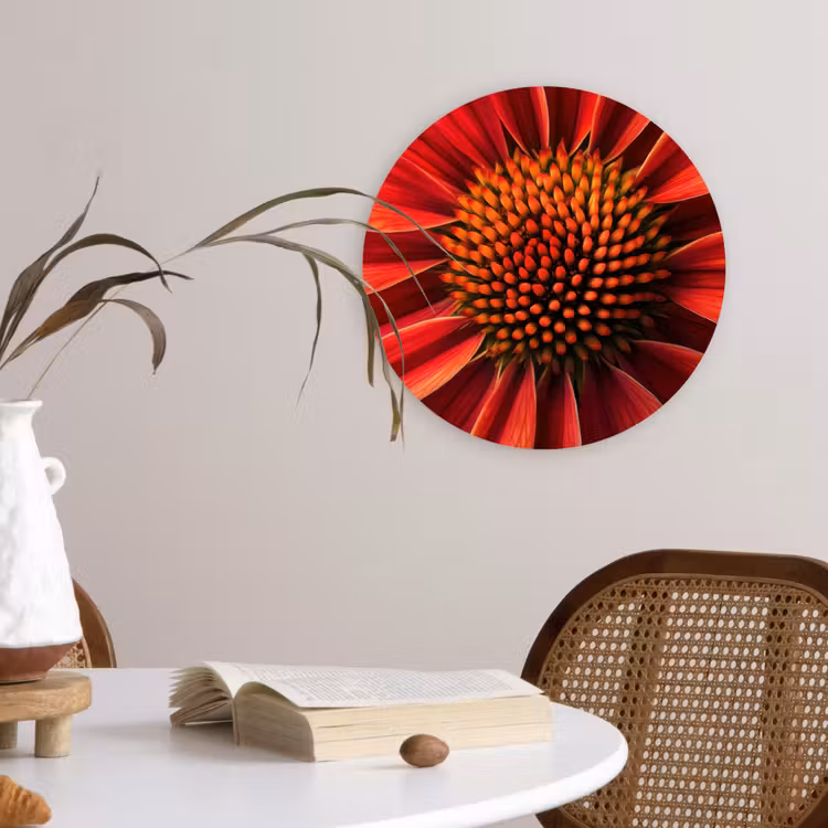 Close up - Bloem- Rood Wandcirkel plexiglas klein -sfeer4
