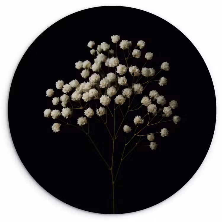 Gipskruid - Bloemetjes - Wit - Minimalistisch Wandcirkel plexiglas klein -3d