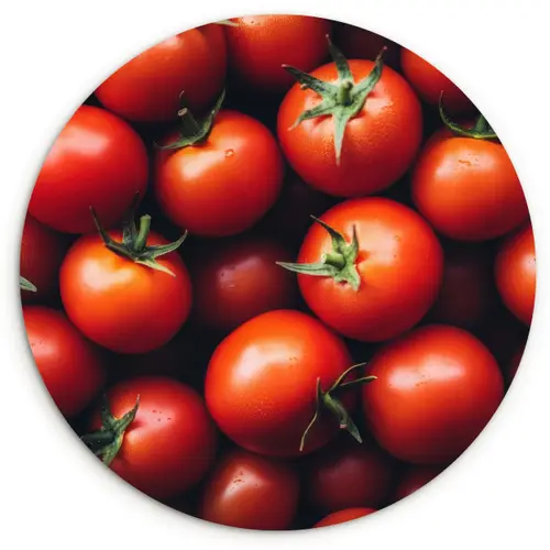 Groente - Rood - Tomaten Wandcirkel plexiglas klein -3d