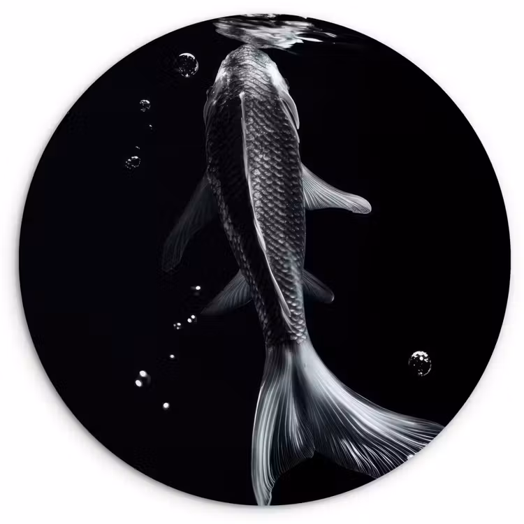 Koi - Vissen - Water - Zwart Wandcirkel plexiglas klein -3d