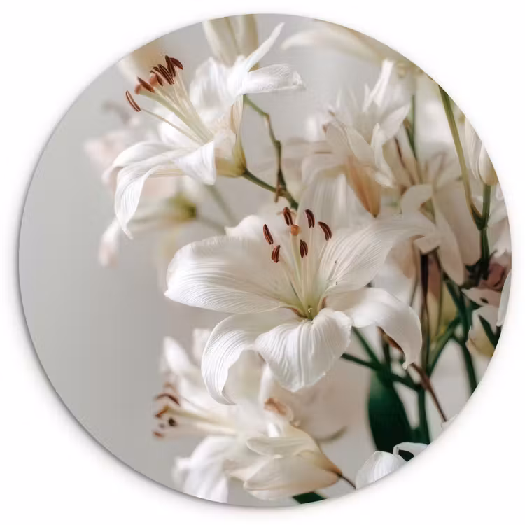 Lelies - Boekte - Wit - Meeldraden Wandcirkel plexiglas klein -3d