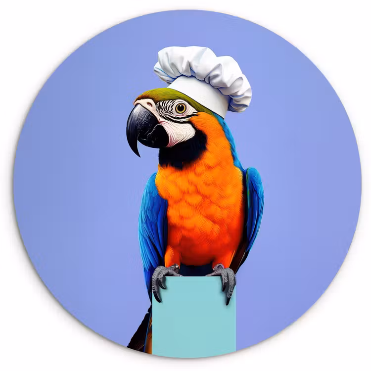 Papegaai - Koksmuts - Vogel - Leuk Wandcirkel plexiglas klein -3d