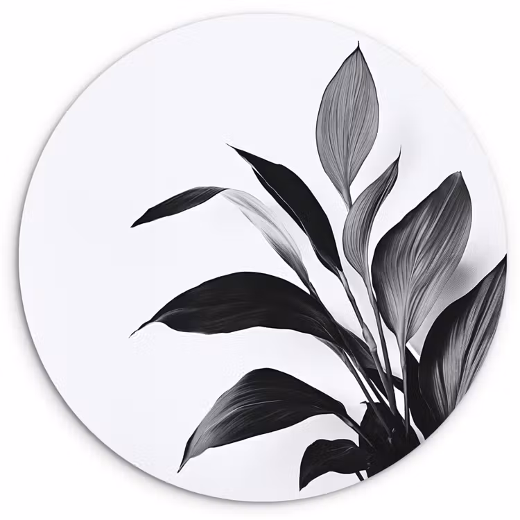 Plant - Bladeren - Minimalistisch - Zwart Wandcirkel plexiglas klein -3d