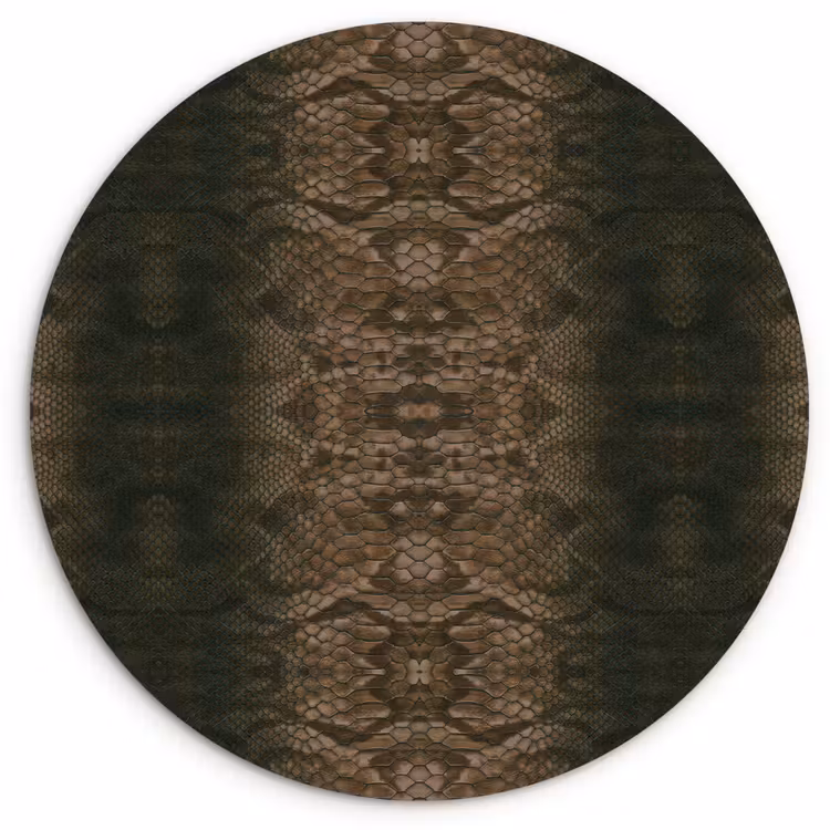 Slang - Boa - Diep - Bruin Wandcirkel plexiglas klein 852 -3d
