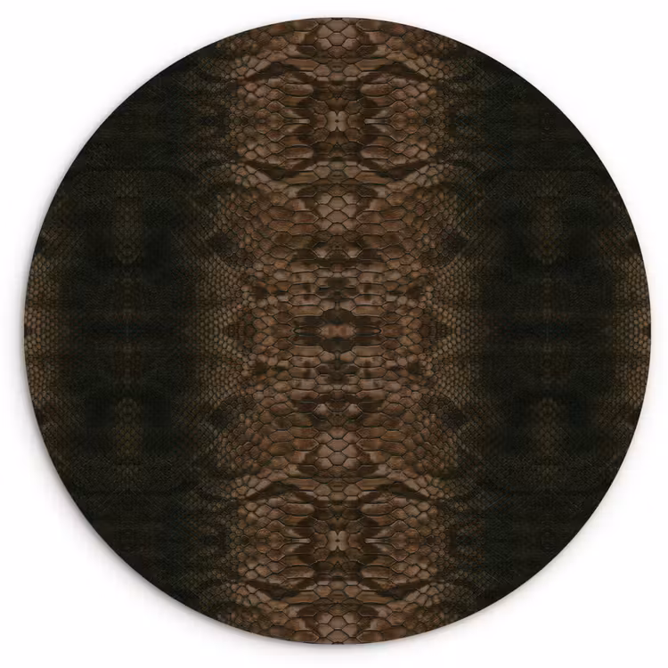 Slang - Boa - Donker - Bruin Wandcirkel plexiglas klein 852 -3d