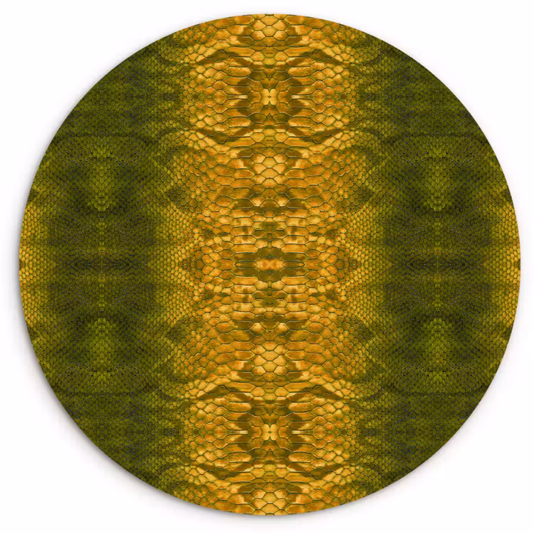Slang - Boa - Geel - Groen Wandcirkel plexiglas klein 852 -3d