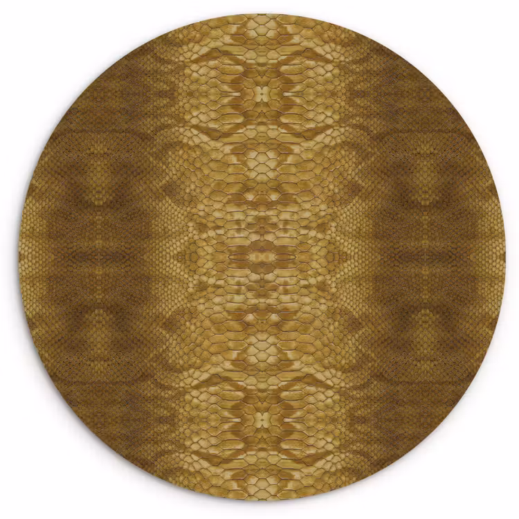 Slang - Boa - Goud - Bruin Wandcirkel plexiglas klein 852 -3d