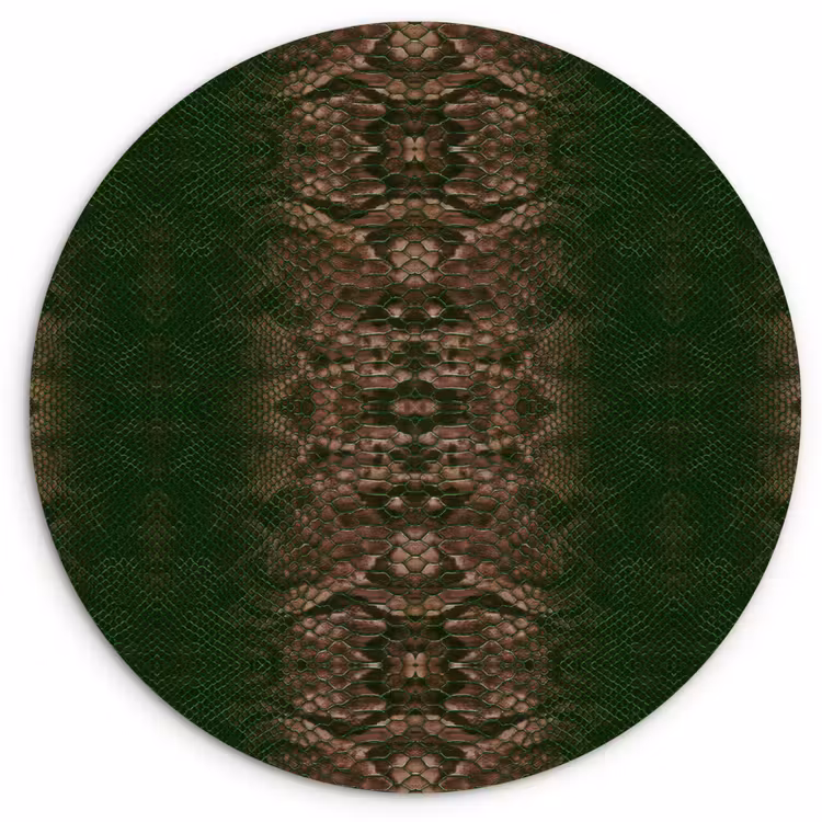 Slang - Boa - Groen - Bruin Wandcirkel plexiglas klein 852 -3d