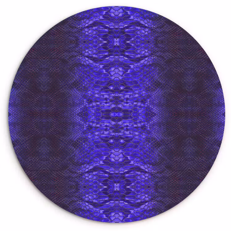 Slang - Boa - Paars - Blauw Wandcirkel plexiglas klein 852 -3d