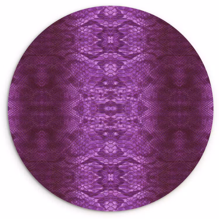 Slang - Boa - Paars - Roze Wandcirkel plexiglas klein 852 -3d