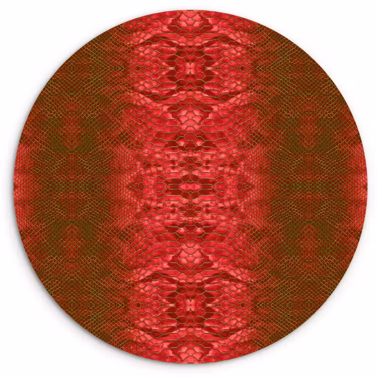 Slang - Boa - Rood -Groen Wandcirkel plexiglas klein 852 -3d
