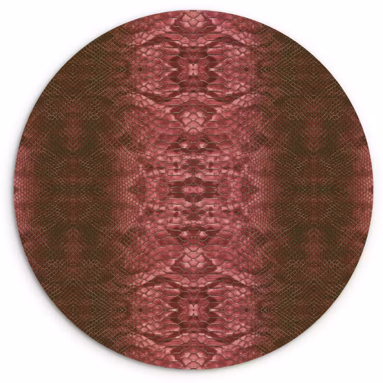 Slang - Boa - Roze - Groen Wandcirkel plexiglas klein 852 -3d