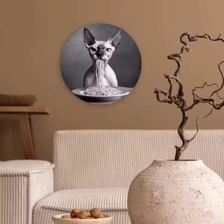 Sphynx - Kat - Dieren - Humor - Spaghetti - Zwart Wit Wandcirkel plexiglas klein -sfeer1