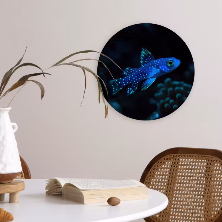 Vis - Stippen - Koraal - Blauw Wandcirkel plexiglas klein -sfeer4