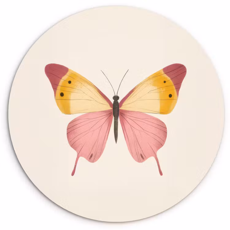 Vlinder - Illustratie - Roze Wandcirkel plexiglas klein -3d