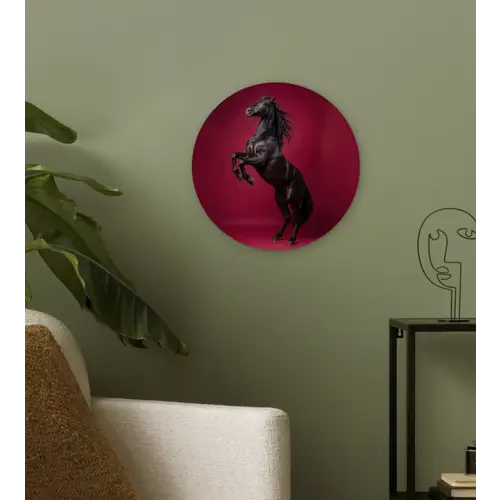 Hengst - Steigert - Rood Wandcirkel kunststof plaat 5mm dik klein -sfeer3