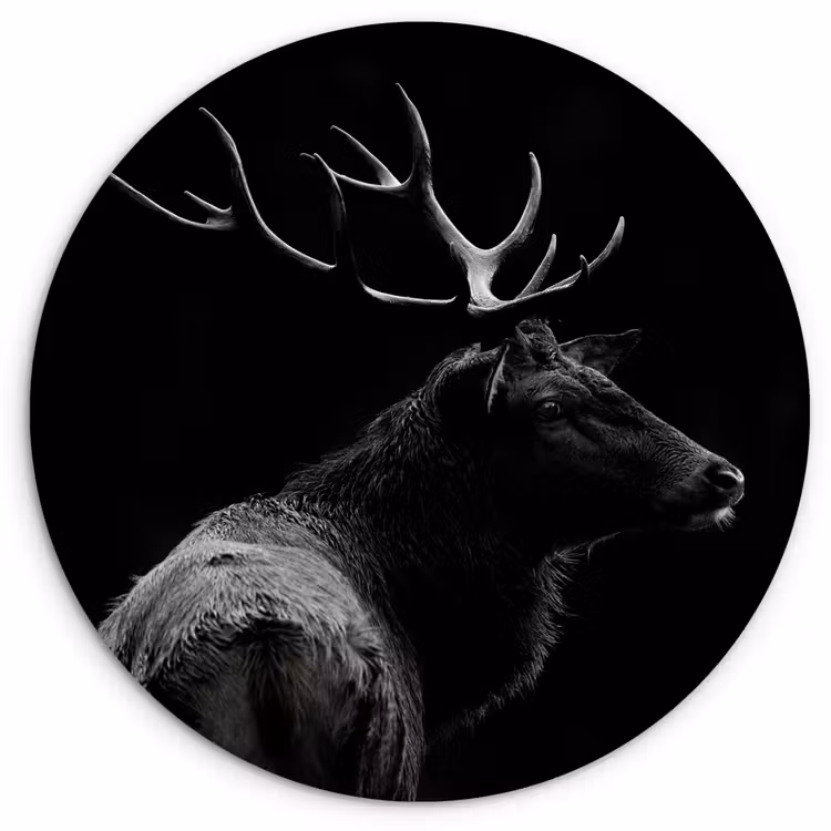 Hert - Zwart - Portret - Gewei - Dieren Wandcirkel kunststof plaat 5mm dik klein -3d