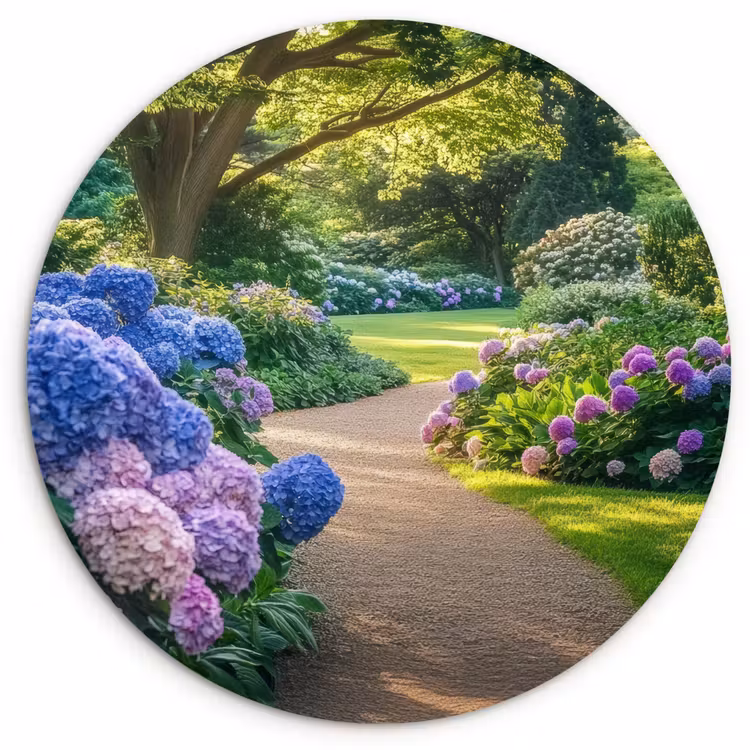 Hortensia- Park - Pad Wandcirkel kunststof plaat 5mm dik klein -3d