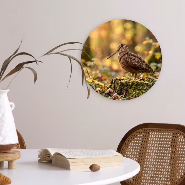 Houtsnip - Bos - Bladeren - Herfst - Gecamoufleerd Wandcirkel kunststof plaat 5mm dik klein -sfeer4