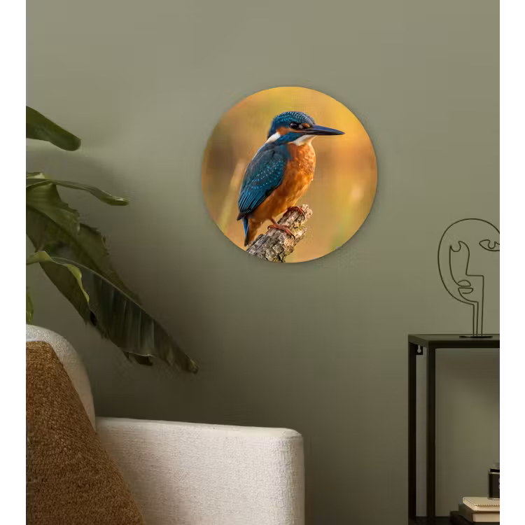 IJsvogel - Tak - Water - Kleurrijk - Levendig Wandcirkel kunststof plaat 5mm dik klein -sfeer3