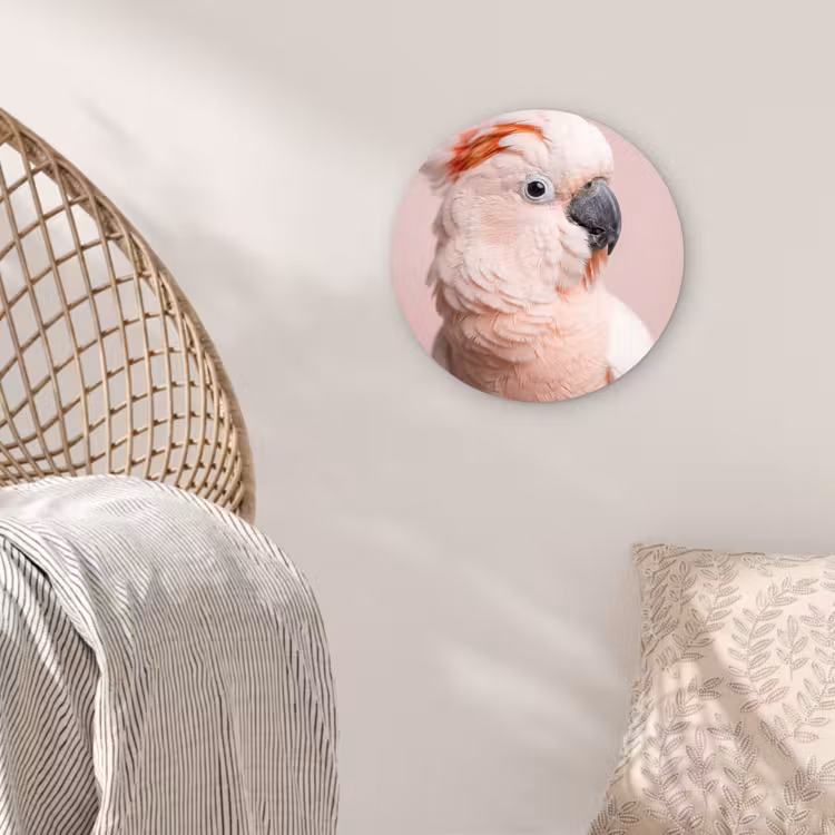 Kaketoe - Portret - Roze Wandcirkel kunststof plaat 5mm dik klein -sfeer5