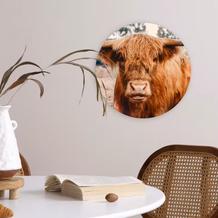 Koe- Schotse hooglander - Hoorns - Bruin - Landschap Wandcirkel kunststof plaat 5mm dik klein -sfeer4