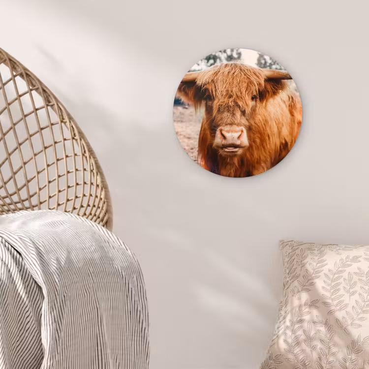 Koe- Schotse hooglander - Hoorns - Bruin - Landschap Wandcirkel kunststof plaat 5mm dik klein -sfeer5