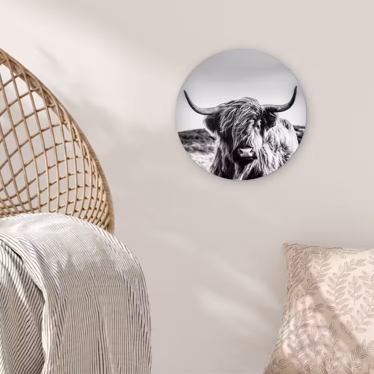 Koe - Schotse hooglander - Zwart - Wit - Dier - Natuur - Wild Wandcirkel kunststof plaat 5mm dik klein -sfeer5
