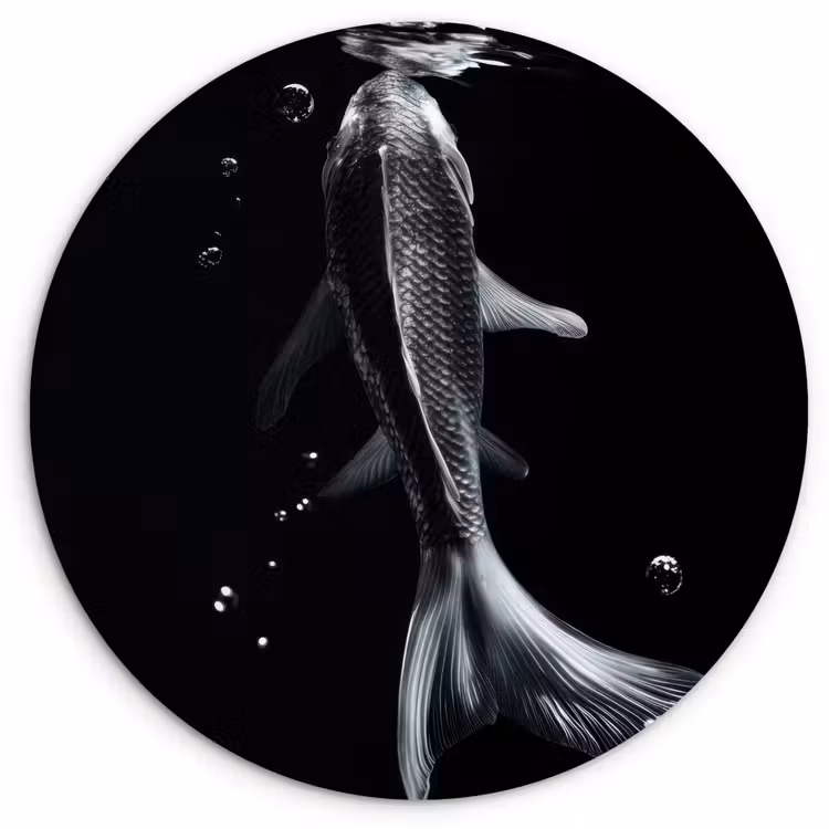 Koi - Vissen - Water - Zwart Wandcirkel kunststof plaat 5mm dik klein -3d