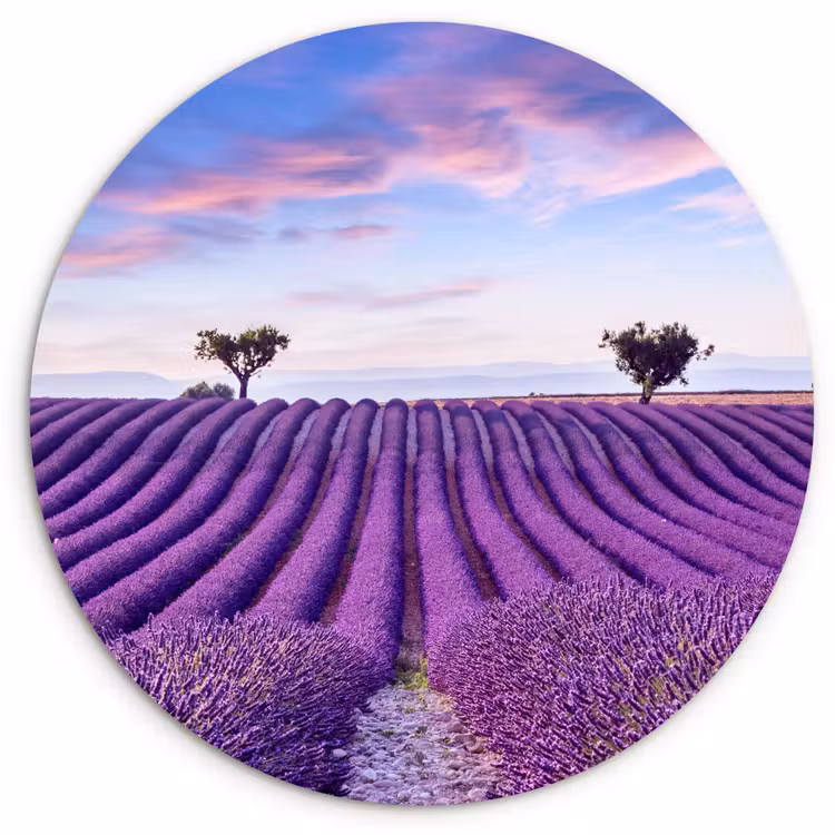 Lavendel - Natuur - Paars - Bomen - Bloemen Wandcirkel kunststof plaat 5mm dik klein -3d