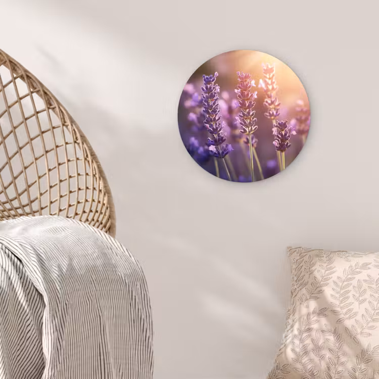 Lavendelbloemen - Paars - Zonlicht Wandcirkel kunststof plaat 5mm dik klein -sfeer5