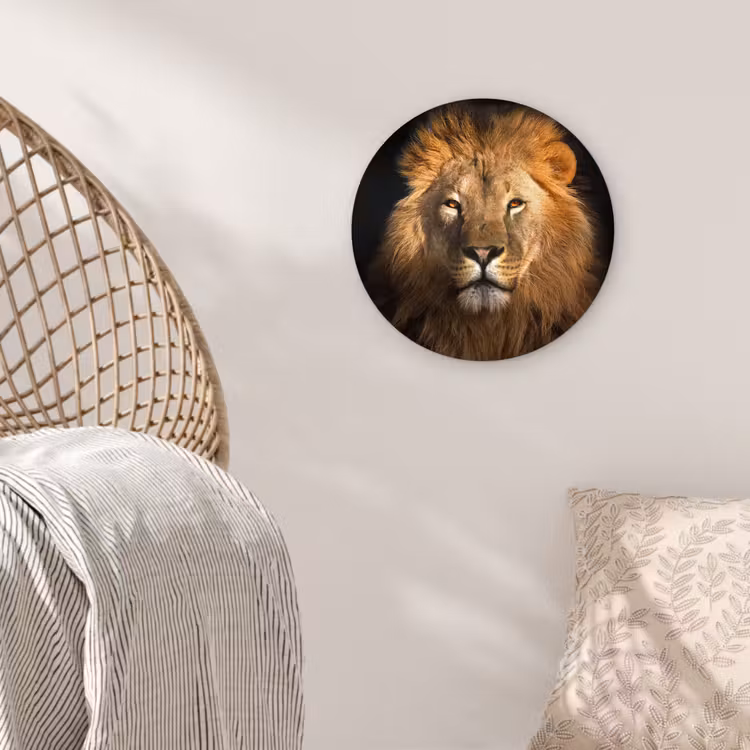 Leeuw - Dieren - Zwart - Licht - Bruin - Portret Wandcirkel kunststof plaat 5mm dik klein -sfeer5