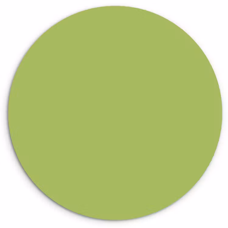 Lime - Glow - Groen Wandcirkel kunststof plaat 5mm dik klein 188 -3d